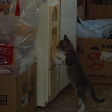 お腹空いたよ～！