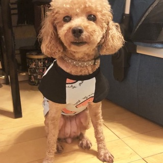 人懐っこい可愛いアップルちゃん