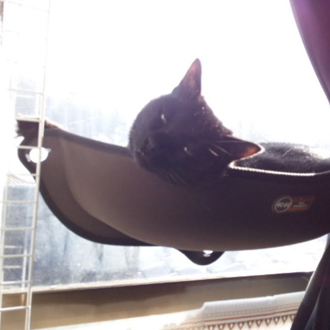 ともすえのカバー写真