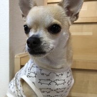 リン