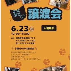 猫の譲渡会 サムネイル1