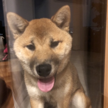 の写真