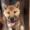 の写真