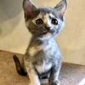 困った顔がキュート…つくし2ヶ月