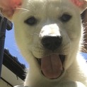 笑顔がとびきり可愛いひかりちゃん