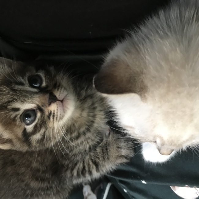 ひろせ^._.^のカバー写真