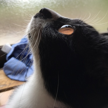 家で1番元気でお転婆、少し意地悪な姫ちゃん