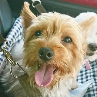 素敵な家族ができました、ありがとうございました♪