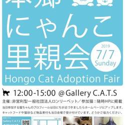 本郷にゃんこ里親会
