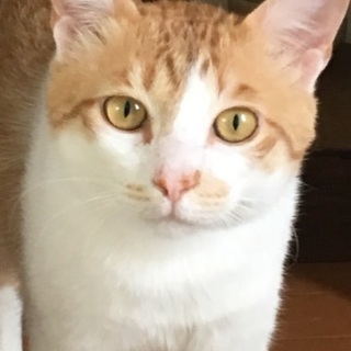 ぐう♡しあわせにゃんこになりました