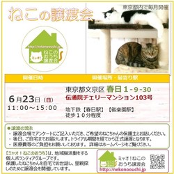 第59回★ミャオ!ねこのおうち譲渡会★春日・後楽園