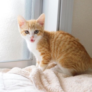 兄妹で一緒に里子に行きました！感謝！