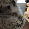 ちぃ2707 さん