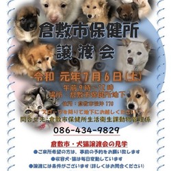 倉敷市保健所 収容犬猫譲渡会・見学会