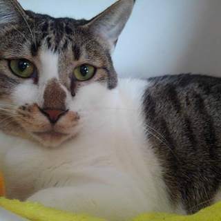 まだまだビビり【しかを】