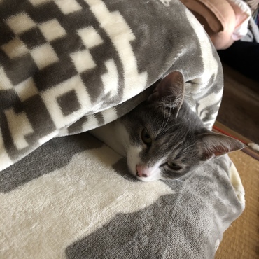 雷の音と、土砂降りの雨の音にビビりすぎたら…こうなった(・・;)顔出てますよ〜（笑）