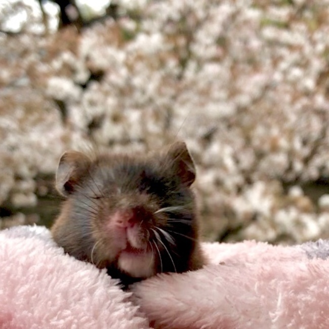 mon26のカバー写真