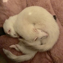 「仲良し」サムネイル2