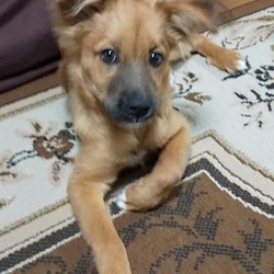 「TVを見てーVer2」サムネイル2