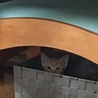 はじめてのおうち