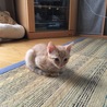 ちょっと慣れてきたかな？