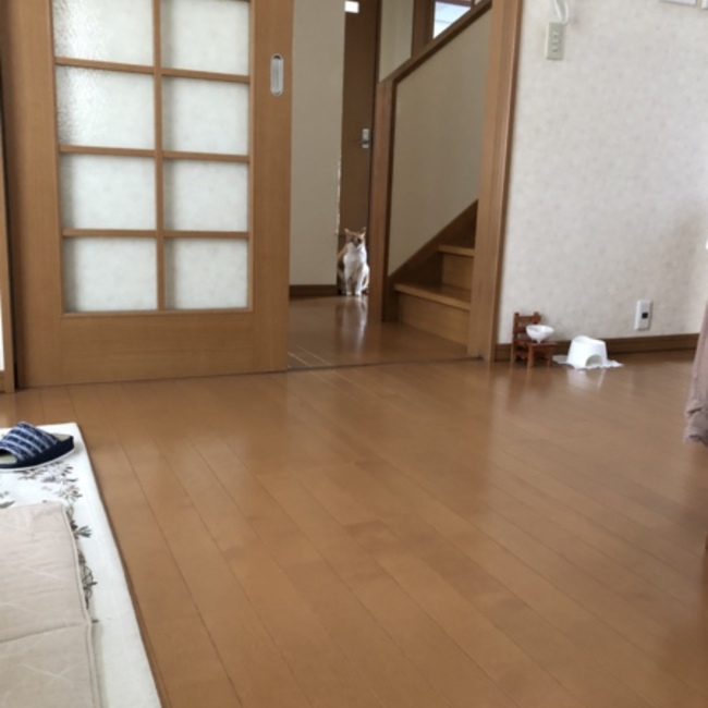 うるふうのカバー写真