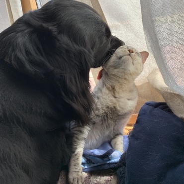 けんたろうの写真