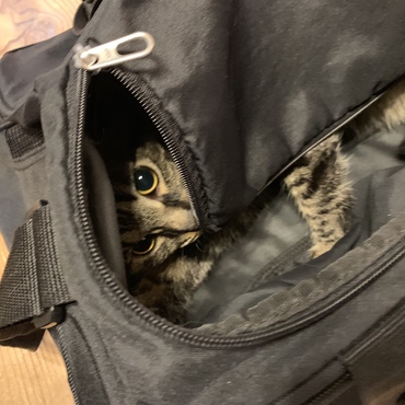 の写真
