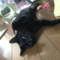千原じゅん