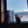 むーしゃん