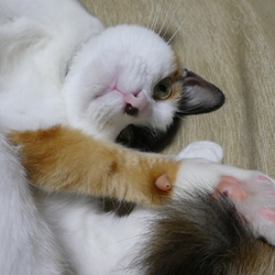 「どいてよー」サムネイル3