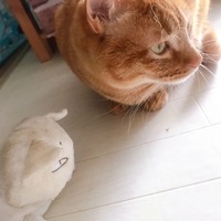 うに