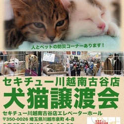 セキチュー川越南古谷店犬猫譲渡会