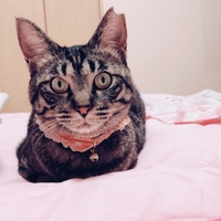さち