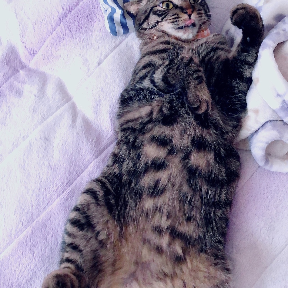 さちのカバー写真