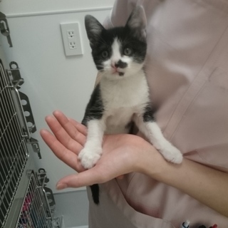 天真爛漫　ピカピカ女子♪