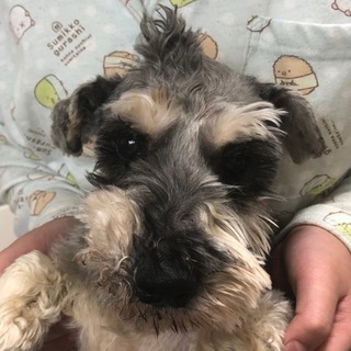 不器用だけど人が大好きな男の子♪