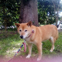 私とアンジー。アンジーを選んだ理由。