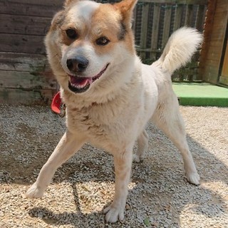 元気いっぱい「南」くん