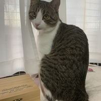 風