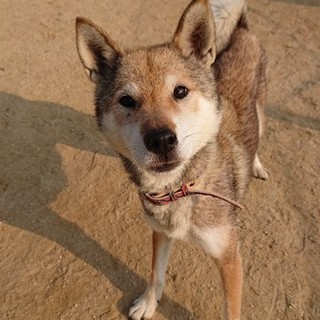 食べるの大好き「めぐみ」ちゃん