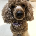 可愛がってくださる方