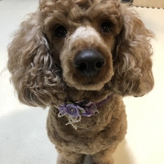 可愛がってくださる方