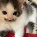 ありがとうございました