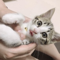 円（えん）