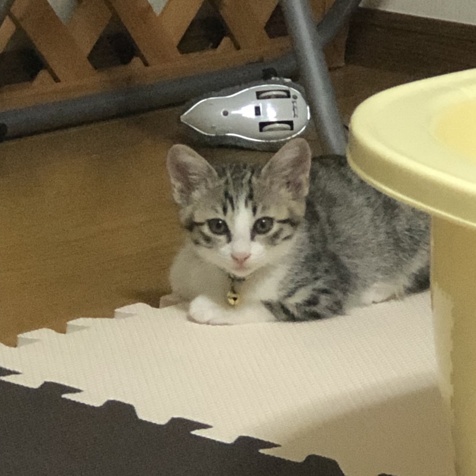 円（えん）のカバー写真