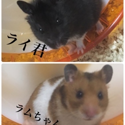 今日も元気そしておめでとう