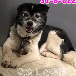 直接お迎えの方に！