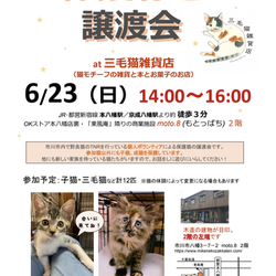 三毛猫雑貨店里親会