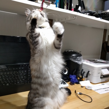 立つとデカかった